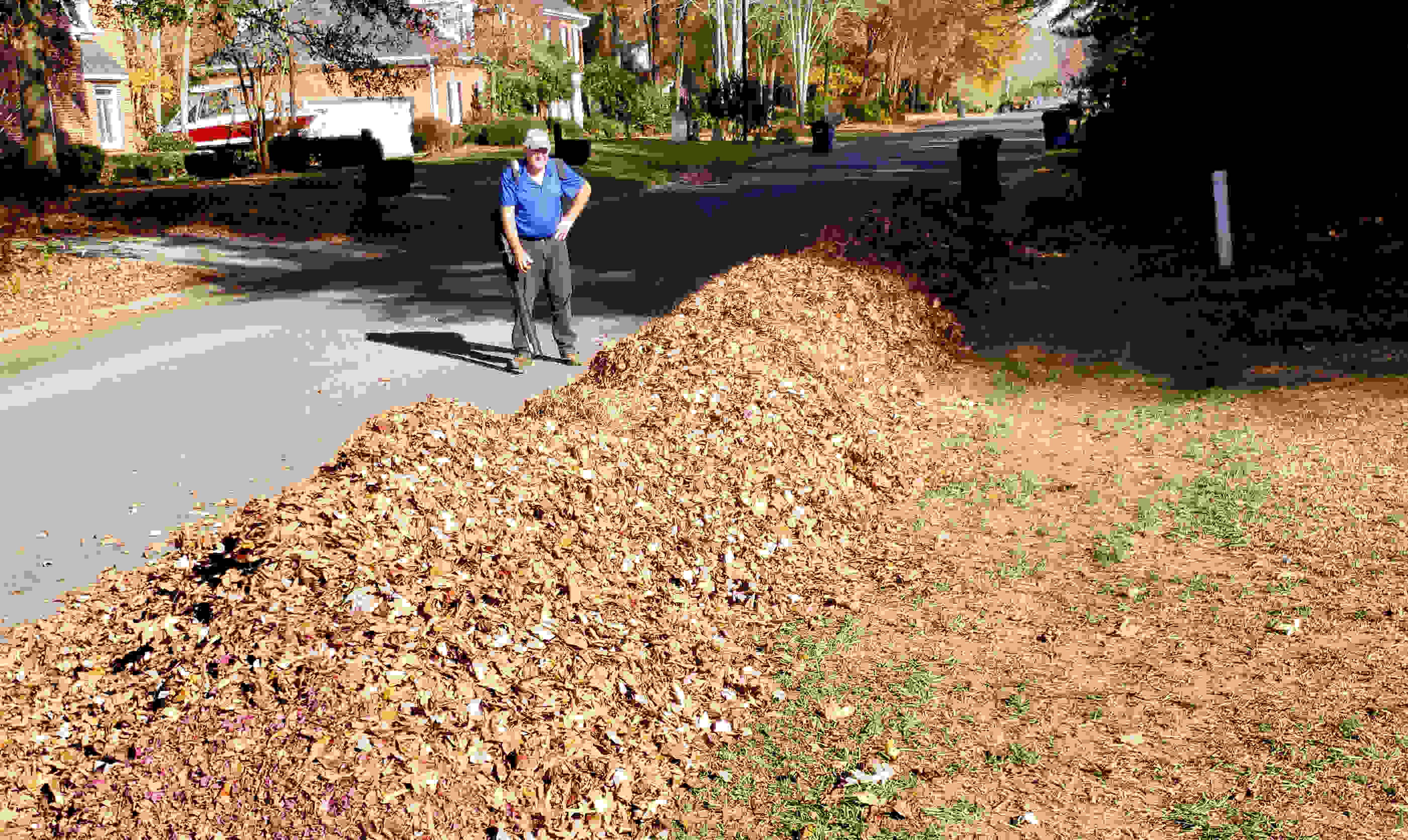 Removing leaves